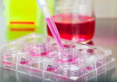 Learn About the Latest Solutions for Filtering Cell Cultures, Fermentation Broths, and Cell Lysates